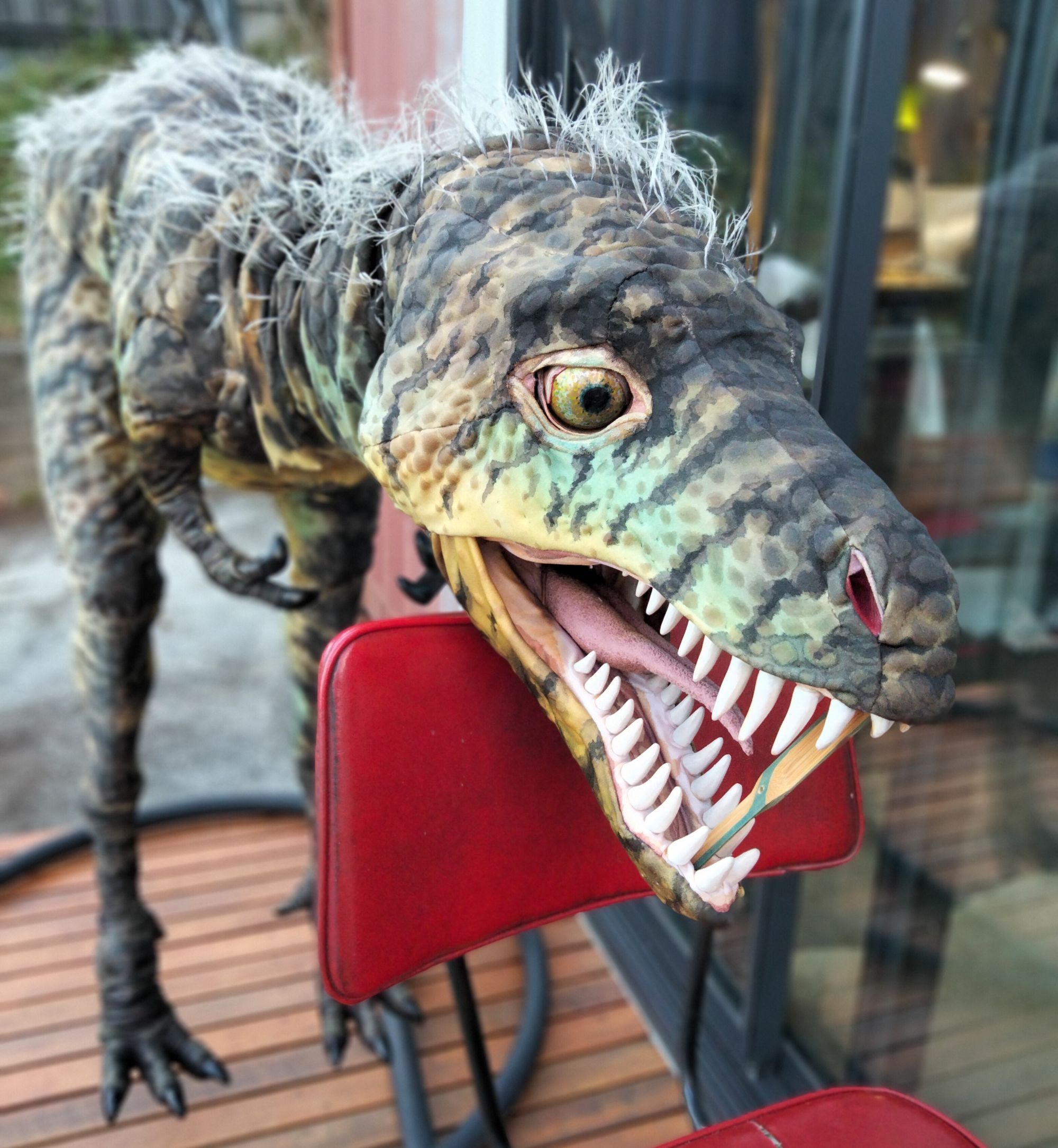 Young T-Rex sets out